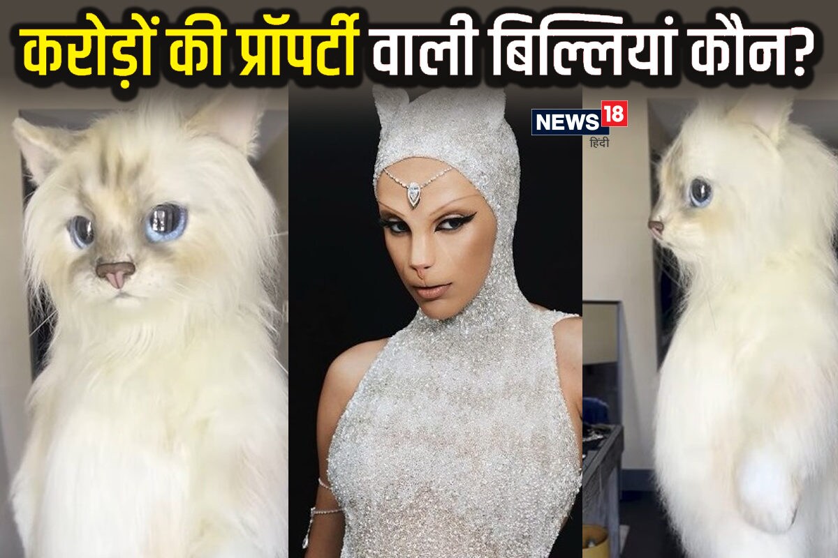 Met Gala में 1 नहीं 2 बिल्लियां… दोनों की करोड़ों में है संपत्ति, लग्जरी बंगले और सुरक्षा करते हैं बॉडीगार्ड!