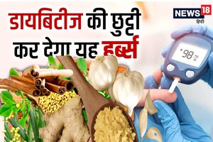 आपके किचन में मौजूद ये 4 नेचुरल हर्ब्स खून से निचोड़ कर निकाल देंगे गंदी शुगर, डायबिटीज होगा जड़ से खत्म