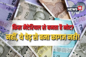 कागज से नहीं बनता आपके हाथ में रखा नोट, इस चीज का होता है इस्तेमाल, जवाब जानकर नहीं होगा भरोसा पर 100 फीसदी सच
