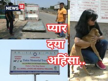 सैकड़ों DOGS के पैरैंट्स कपल से मिलिए,बेजुबानों पर हर महीने कर रहे लाखों खर्च