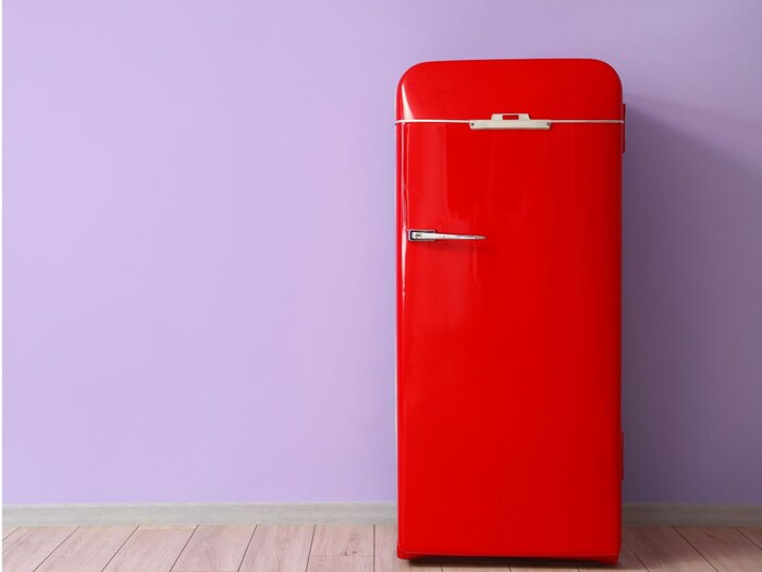 Single या Double Door, कौन सा फ्रिज घर लाने में है फायदा, जानें इनकी