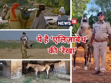 Lagaan में अहम रोल करने वाली ‘रेखा’ से मिलिए,32 की उम्र कैसी है रिटायर्ड लाइफ?