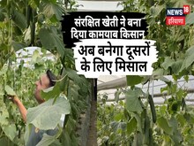 संरक्षित खेती ने बना दिया कामयाब किसान,छपरियो के मुकेश बने मिसाल