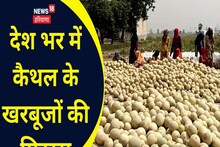 Kaithal News : देश भर में कैथल के खरबूजों की फैल रही मिठास, किसान हो रहे मालामाल
