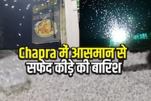 OMG: हॉलीवुड फिल्म का सीन नहीं, जब असल में बिहार में होने लगी कीड़ों की बारिश, देखें Viral Video