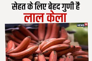 बेहद चमत्कारी है लाल केला, कैंसर जैसी 5 बीमारियों के खतरे को करता है कम, हड्डियों को रखता है लोह की तरह सख्त