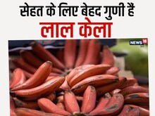 बेहद चमत्कारी है लाल केला, कैंसर जैसी 5 बीमारियों के खतरे को करता है कम