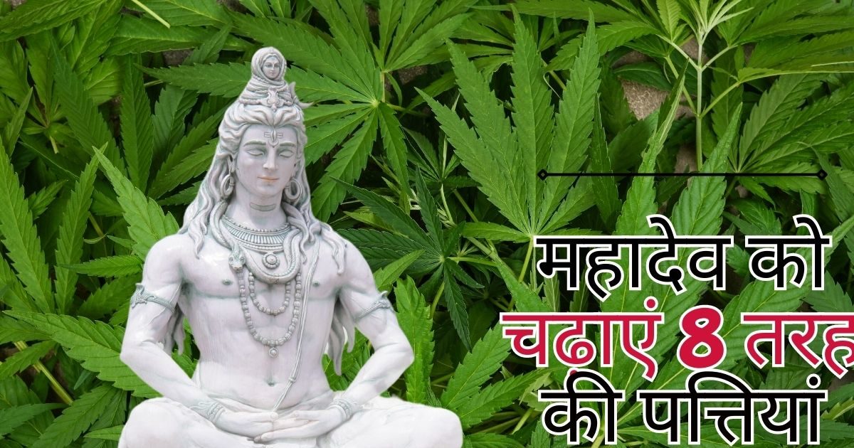 Offer 8 types of leaves to Mahadev, luck will shine, many problems will go away