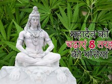 8 तरह के पत्ते करें महादेव को अर्पित, चमक उठेगी किस्मत, दूर होंगी समस्याएं