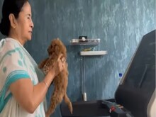 Video: ममता बनर्जी का अनोखा अंदाज, हाथ में पप्पी लेकर ट्रेडमिल पर भागीं दीदी