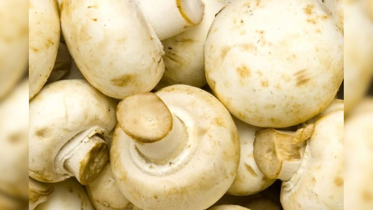 इस खेती से हो रहा अच्छा मुनाफा, सिर्फ 4-5 महीने में कमा लेंगे 3 लाख रुपये, सरकार देगी 40% सब्सिडी