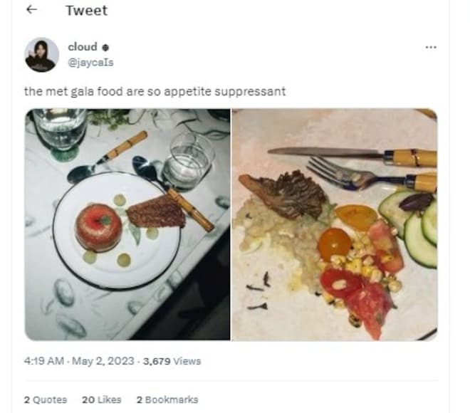 Met Gala, Met Gala 2023, Met Gala Menu, Met Gala food menu, Met Gala celebs look, Met Gala food, Met Gala menu leaked, Met Gala priyanka chopra look, Met Gala alia bhatt look, Met Gala rihanna look, Met Gala food menu viral, Met Gala event, entertainment news