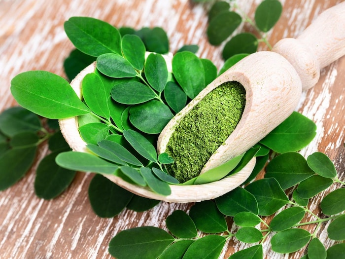 moringa 03