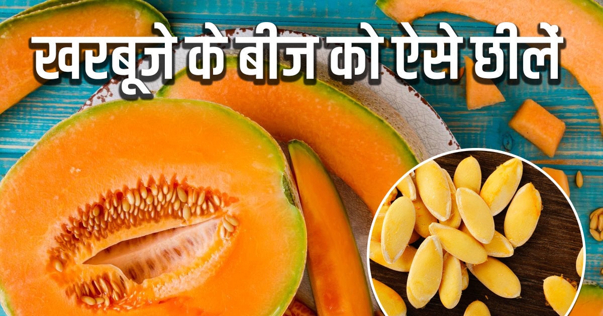 खरबूजे के बीज छीलना लगता है झंझट, अपनाएं ये सबसे आसान तरीका, कभी नहीं  पड़ेगी खरीदने की जरूरत - How to peel muskmelon seeds shell easily at home  without problems follow these easiest steps kharbuje ke beej ko kaise  chhilen - News18 हिंदी