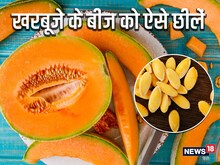खरबूजे के बीज छीलना लगता है झंझट, अपनाएं ये सबसे आसान तरीका