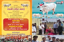 Animal Love : लाडली गाय की अंतिम यात्रा, गांव वालों ने दिया मृत्युभोज, सैकड़ों लोग हुए शामिल