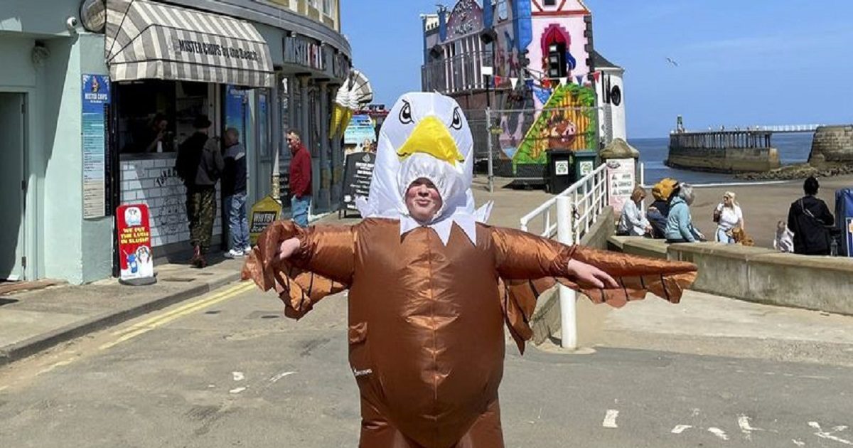 seagull job