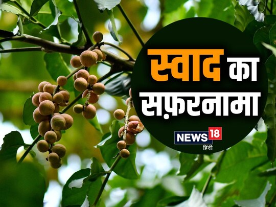स्वाद का सफ़रनामा- लिवर की रक्षा करता है बड़हल, शरीर में भर देता है ‘ताकत’, काफी पुराना है इतिहास