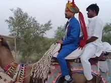 ऊंट पर सवार होकर दुल्हन के दरवाजे पर पहुंचा दूल्हा, ट्रैक्टर से आए बाराती