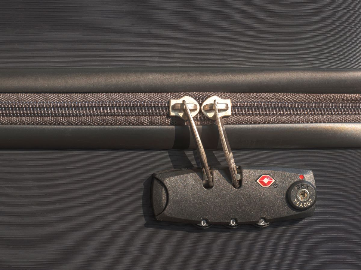 Why Bags Have 2 Zips अगर एक से चल सकता है काम, तो बैग में क्यों होती