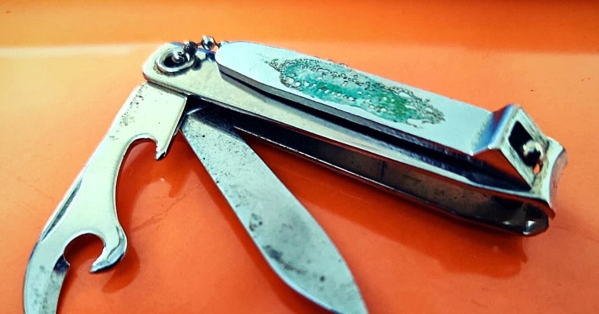 नेल कटर में क्यों होता है अजीबोगरीब डिजाइन का चाकू, क्या होता है इसका काम?  आखिरकार चल गया पता - Why nail cutters have two knives why nail cutter have  blades weird