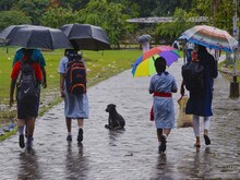 इस साल गर्मी क्यों रही ठंडी? मानसून पर क्या होगा असर? पूर्वानुमान अलग क्यों?