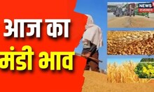 Rajasthan Mandi Bhav Today: जानिए कैसा रहेगा आज प्रदेश के कृषि मंडियों के बाजार भाव | Farming News