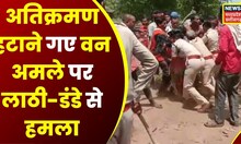Gariyaband : वन अमले पर अतिक्रमणकारियों ने बोला हमला, लाठी और डंडे से किया हमला | Top News | News18