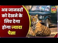 Bhopal : MP के National Park में बढ़ेगी Entry Fees | Latest News | Hindi News | Top News | ZOO