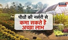 Annadata : पौधों की नर्सरी से कमा सकते है अच्छा लाभ। Farming In India| Farming Tips | Top News