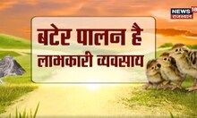 Bater Farming | कम लागत में ज्यादा मुनाफे के लिए करें बटेर पालन, जानिए उन्नत नस्ले | Annadata