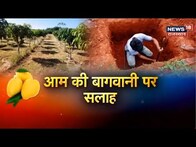 Fire In Wheat Fields | किसान आग से अपने फसलों को कैसे बचा सकते है जानिए | Annadata
