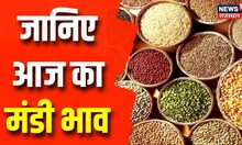 Rajasthan Mandi Bhav Today: जानिए कैसा रहेगा आज प्रदेश के कृषि मंडियों के बाजार भाव | Farming News