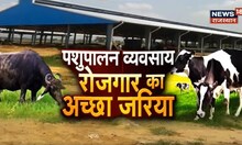 Annadata | पशुपालन के जरिए किसान कर सकते अच्छी कमाई, जानिए पशुपालन के कितने लाभ | Agriculture News