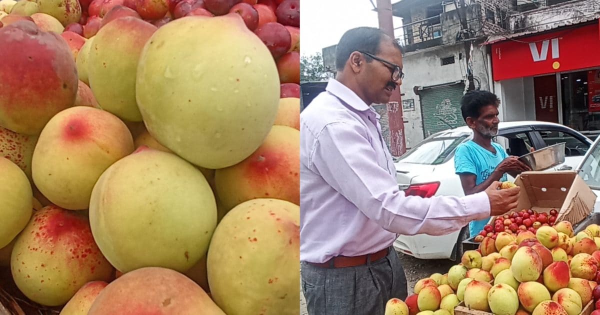 mountains fruits dominates the haldwani market also have multiple