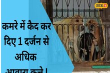 आवारा कुत्तों को कर दिया एक कमरे में बंद, एनिमल लवर और कॉलोनी वासी आए आमने-सामने