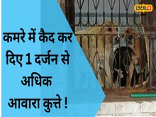 आवारा कुत्तों को कर दिया एक कमरे में बंद, एनिमल लवर और कॉलोनी वासी आमने-सामने