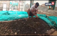 Churu : लॉक डाउन में चली गई जॉब, तो शुरू किया केंचुआ खाद बनाने का काम, पटरी पर आ गई जिंदगी