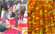 प्रयागराज के 'फूलों वाली गली' की करें सैर,24 घंटे रहता है यहां सुगंधित वातावरण