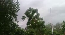 पश्चिमी राजस्थान में तेज अंधड़ के साथ बारिश, शहरवासियों को मिली गर्मी से राहत