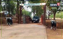 Palamu: गर्मी के दिन में ढूंढ रहे घूमने का जगह तो पहुंचे बेतला नेशनल पार्क, यहां है डिटेल