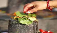 Somvar Special: शिवलिंग पर क्या चढ़ाने से मिलता है लाभ, जानें भगवान शिव को प्रसन्न करने के उपाय