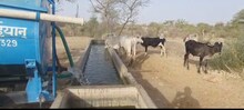 बेजुबानों की प्यास बुझाता है जोधपुर का यह शख्स, पिछले 4 सालों से जारी है यह मुहिम
