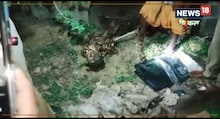 नाले में क्षत-विक्षत शव मिलने से सनसनी, नहीं हो सकी शिनाख्त, जांच में जुटी पुलिस