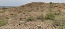एक दिन में 6 लाख पौधे लगाकर बनाया था वर्ल्ड रिकॉर्ड, अब बंजर है यहां कि पहाड़ियां 