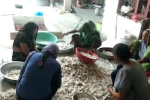 मलेशिया से लेकर वियतनाम तक है राजस्थान के इस शहर के लहसुन की डिमांड, इस बार मिल रहा बंपर भाव