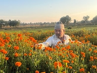 फूलों की खेती से डूंगरपुर के किसानों को मिल रहा फायदा, लागत से दोगुना हो रहा मुनाफा