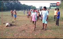 बागीचा गए थे आम चुनने हो गया हाथी से सामना! महिला समेत 2 की मौत, एक घायल