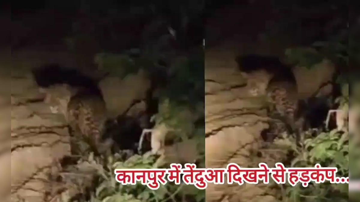 कानपुर में एक बार फिर दिखा तेंदुआ, लोगों में दहशत का माहौल, देखें Video