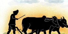 अलवर में राज किसान ऐप का किसानों को नहीं मिल रहा लाभ, जानिए कारण